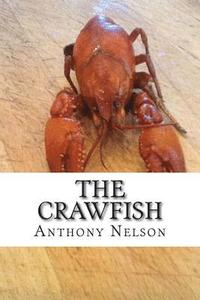 bokomslag The Crawfish