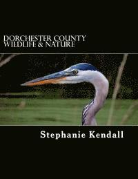 bokomslag Dorchester County Wildlife & Nature: A Pictorial Guide