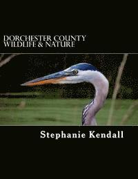 bokomslag Dorchester County Wildlife & Nature: A Pictorial Guide