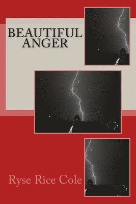 Beautiful Anger 1