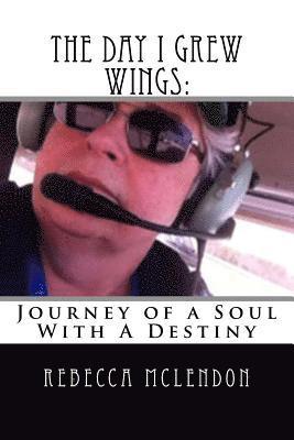 bokomslag The Day I Grew Wings: Journey of a Soul With A Destiny