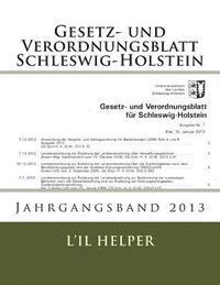bokomslag Gesetz und Verordnungsblatt für Schleswig-Holstein: Jahresband 2013