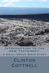 bokomslag Introduction to the New Testament: A Small Group Bible Study