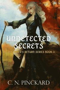 bokomslag Undetected Secrets: Riftrider's Return book 2