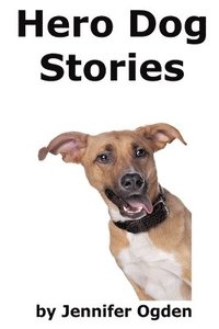 bokomslag Hero Dog Stories: 16 Amazing Tales of Love and Courage