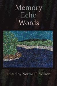bokomslag Memory Echo Words