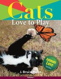 bokomslag Cats Love to Play