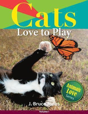Cats Love to Play 1