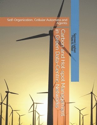 Carbon and Hot-spot Management in Green Data-Centric Networks