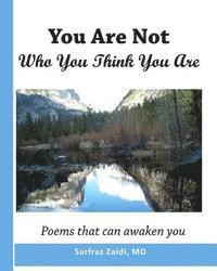 bokomslag You Are Not Who You Think You Are: Poems That Can Awaken You
