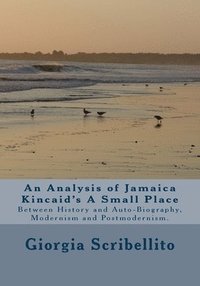 bokomslag An analysis of Jamaica Kincaid's A Small Place