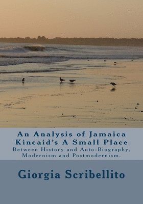 bokomslag An analysis of Jamaica Kincaid's A Small Place