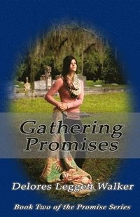 bokomslag Gathering Promises