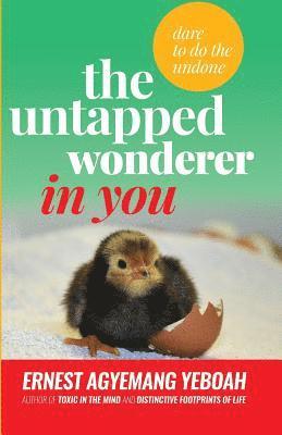 The Untapped Wonderer In You: dare to do the undone
