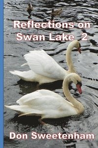 bokomslag Reflections on: Swan Lake 2