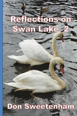 Reflections on: Swan Lake 2 1