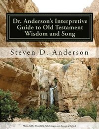 bokomslag Dr. Anderson's Interpretive Guide to Old Testament Wisdom and Song