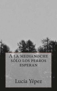 bokomslag a la Medianoche Sólo Los Perros Esperan