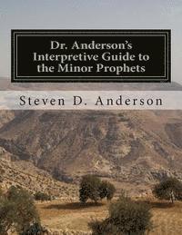 bokomslag Dr. Anderson's Interpretive Guide to the Minor Prophets: Hosea-Malachi
