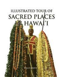 bokomslag Illustrated Tour of Sacred Places in Hawai'i