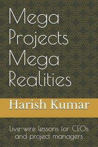 bokomslag Mega Projects Mega Realities: Live-wire lessons for CEOs and project managers