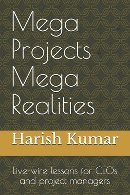 bokomslag Mega Projects Mega Realities: Live-wire lessons for CEOs and project managers