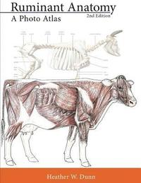 bokomslag Ruminant Anatomy: A Photo Atlas