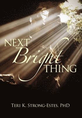 bokomslag Next Bright Thing
