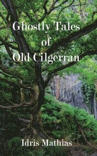 bokomslag Ghostly Tales of Old Cilgerran