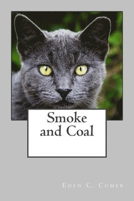 bokomslag Smoke and Coal