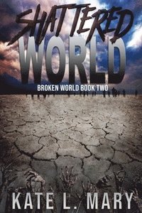 bokomslag Shattered World