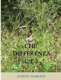 Che differenza c'è ? 1