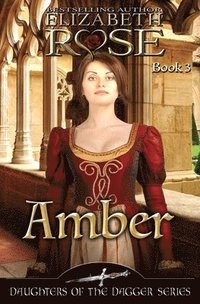 bokomslag Amber