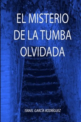 bokomslag Misterio De La Tumba Olvidada