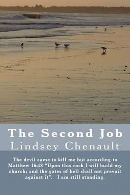 The Second Job 1