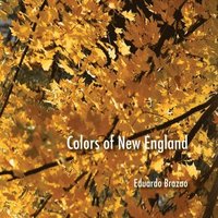 bokomslag Colors of New England
