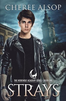 bokomslag Werewolf Academy Book 1