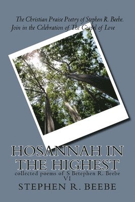 bokomslag Hosanna iN THE hIGHEST: collected poems of SR Beebe V1