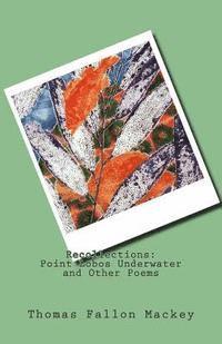 bokomslag Recollections: Point Lobos Underwater and Other Poems