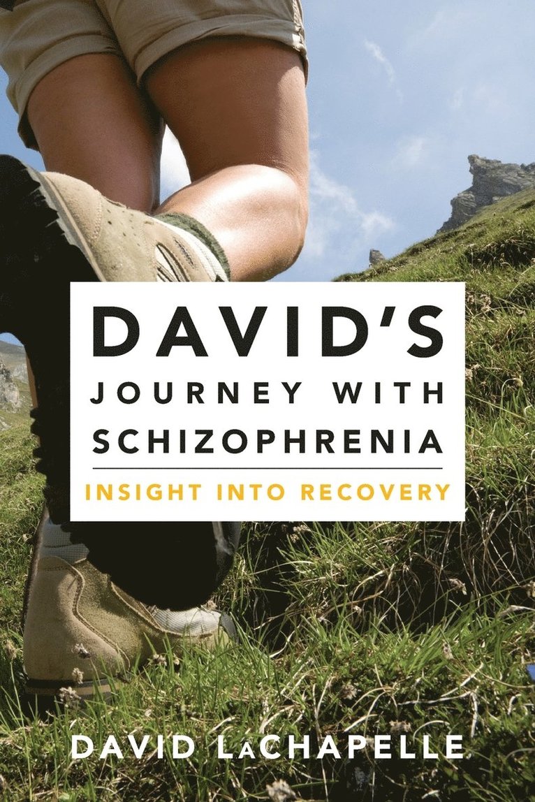David's Journey with Schizophrenia 1