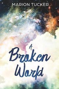 bokomslag A Broken World