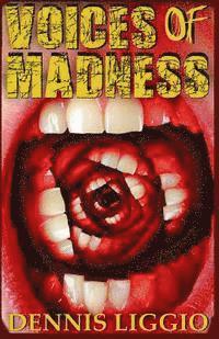 bokomslag Voices of Madness