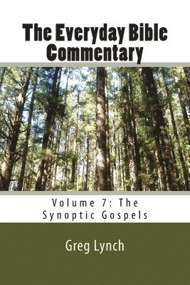 bokomslag The Everyday Bible Commentary: Volume 7: The Synoptic Gospels