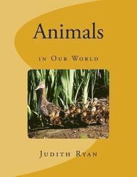 Animals in Our World 1