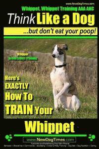 bokomslag Whippet, Whippet Training AAA AKC: Think Like a Dog, but Don't Eat Your Poop! Whippet Breed Expert Training: Here's EXACTLY How to Train Your Whippet
