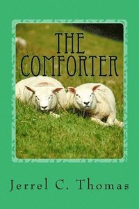 bokomslag The Comforter: A Godly Adventure, And A Mystery