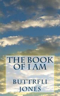 bokomslag The Book of I AM