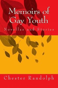 bokomslag Memoirs of Gay Youth: Novellas and Stories