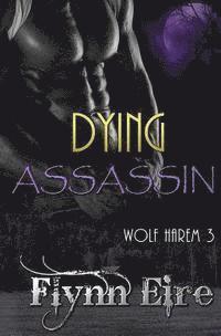Dying Assassin 1