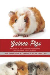 bokomslag Guinea Pigs: How to care for your Guinea Pig and everything you need to know to keep them well